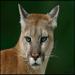 avatar_11731