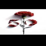 avatar_145185
