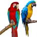 avatar_150160