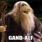 Avatar de l’utilisateur