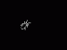 avatar_22231