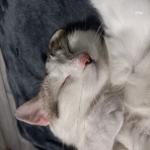 avatar_231771