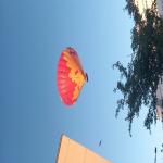 avatar_381854
