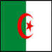 bylka28dz