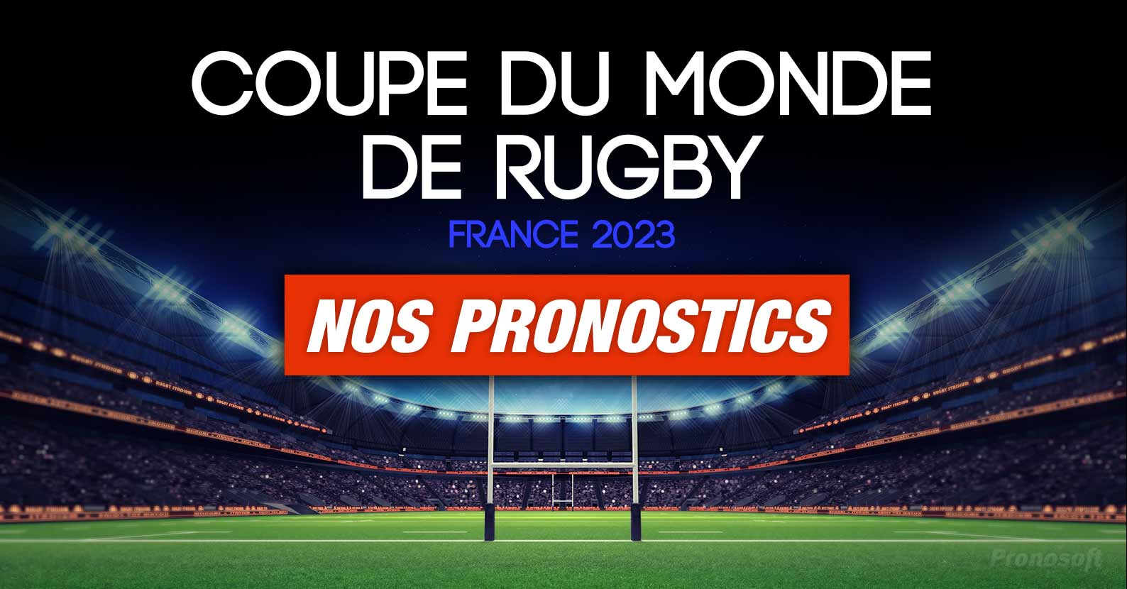 Coupe du Monde de Rugby 2023
